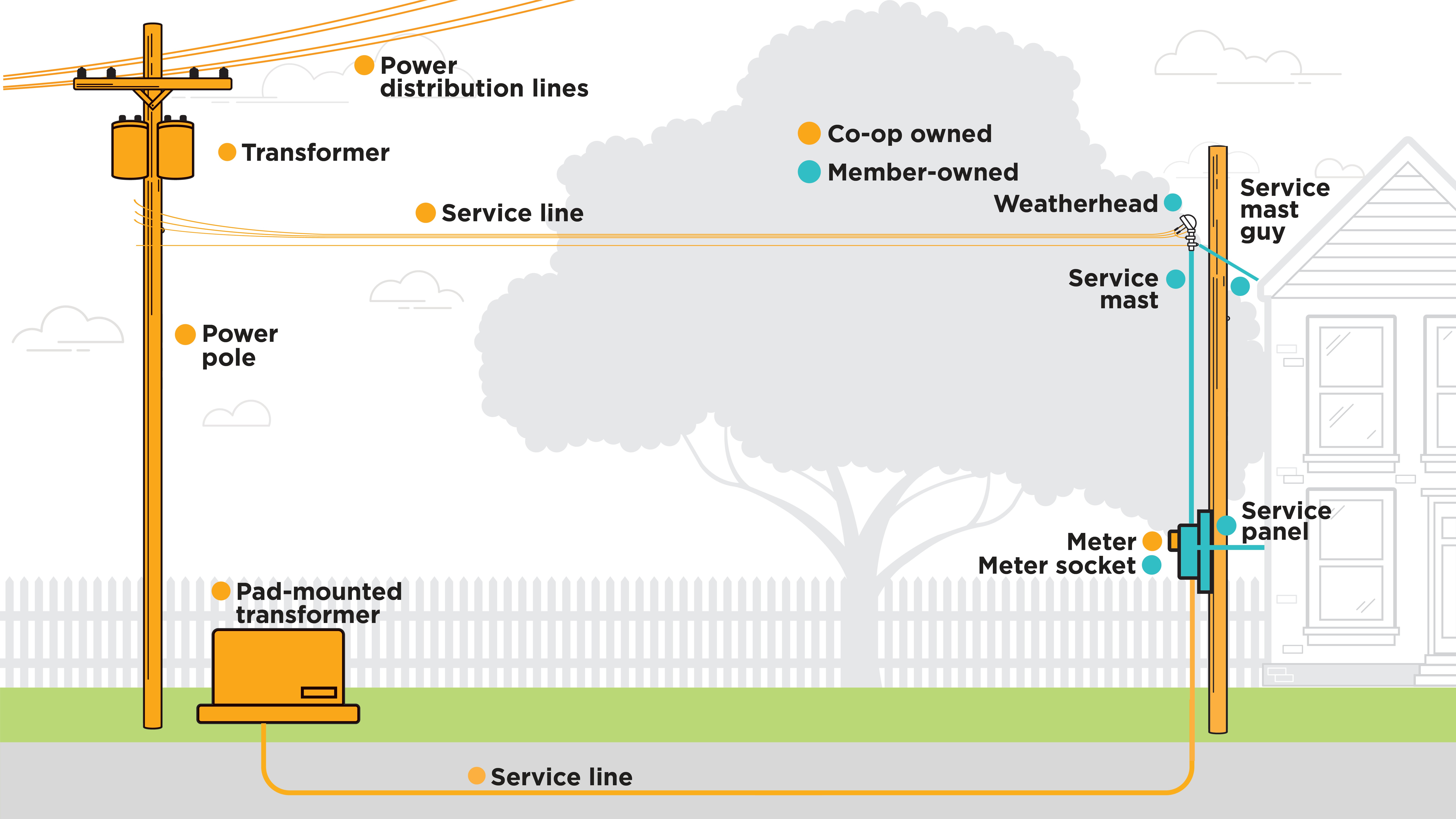 member responsibilities