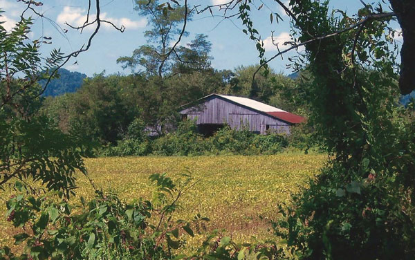 barn