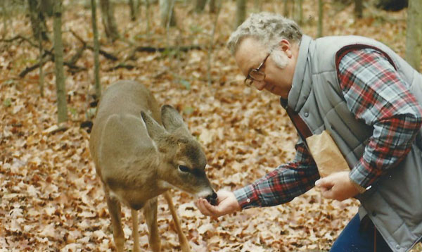 feedingDeer